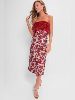 Hyacinth House Tuckernuck Red Jacquard Feathered Reina Dress size XS NWT